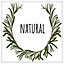 Natural (Picutre Frame) / 24x24" / Oak