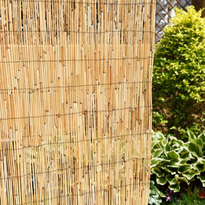 Natural Reed Fence Screening - Garden Screen and Privacy Roll (2m x 3m)
