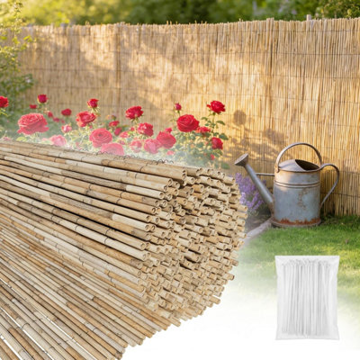 Natural Reed Garden screen (H)1.8m (W)4m Outdoor