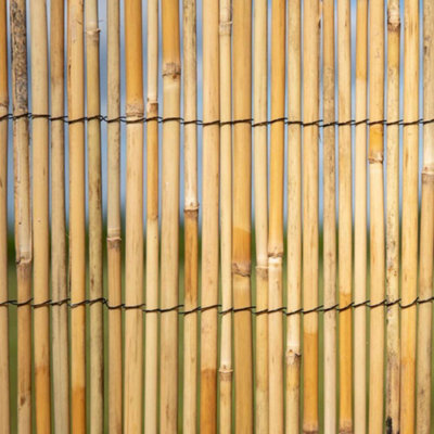 Natural Screening Roll Privacy Peeled Reed Wind Sun Protection 3m x 1.5m Primrose - 4