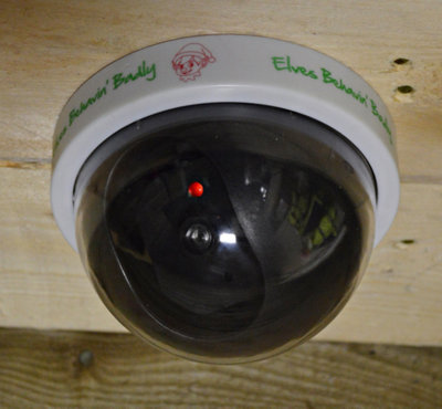 elf dummy surveillance camera