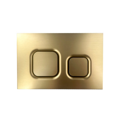 Nes Home Avant Brushed Brass Square Button Dual Flush Plate