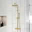 Nes Home Modern Brushed Brass Cool Touch Thermostatic Riser Rail Shower Set