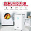 NETTA 20L Low Energy Dehumidifier with Continuous Drainage and Timer - Ideal for Damp, Condensation and Laundry Drying
