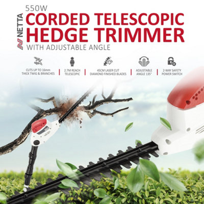 Netta hedge deals trimmer