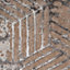 Neutral Beige Distressed Abstract Metallic Geometric Living Runner Rug 70x240cm