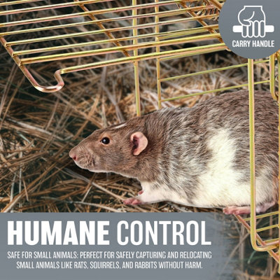 New Galvanised Steel Rat Trap Catcher Mice Mouse Rodent Catch Bait ...