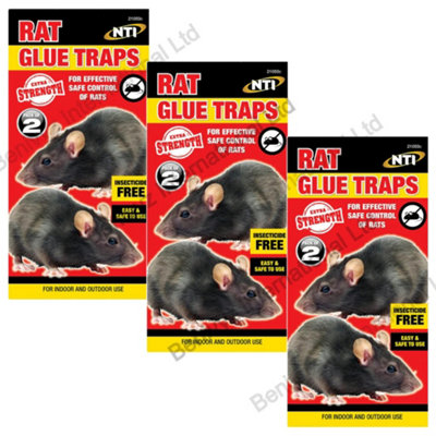 Rat Glue Traps - Pack of 2