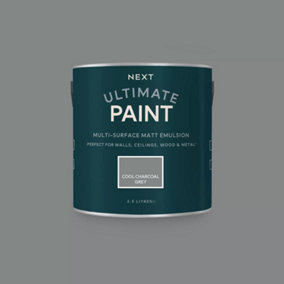 Next Cool Charcoal Grey Peel & Stick Paint Sample