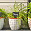 Nicola Spring - Hand-Printed Plant Pots - 14cm - 3 Colours - Pack of 3