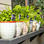 Nicola Spring - Hand-Printed Plant Pots - 14cm - 6 Colours - Pack of 6