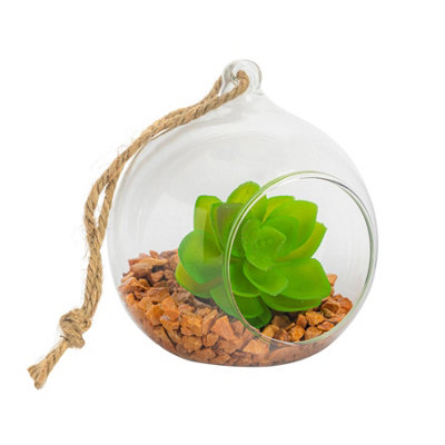 Nicola Spring - Hanging Glass Terrarium - 10cm - Clear