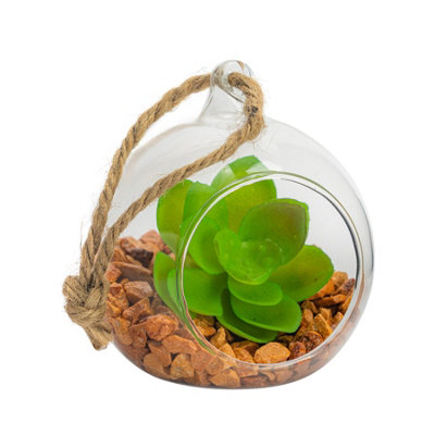 Nicola Spring - Hanging Glass Terrarium - 8cm - Clear