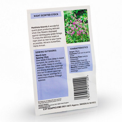 Night Scented Stock Flower Seeds (Approx. 260 seeds) by Jamieson Brothers - 6