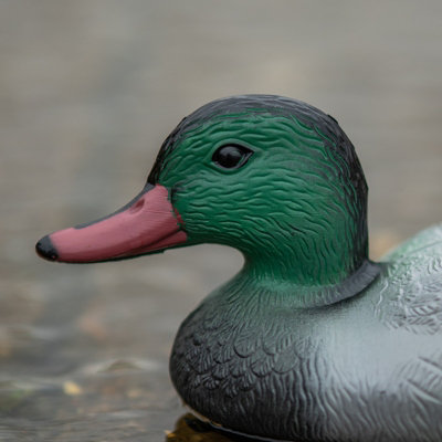 Nitehawk Male Realistic Duck Decoy