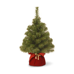 Nobel Spruce 2ft Tree Minature with Burgundy Bag