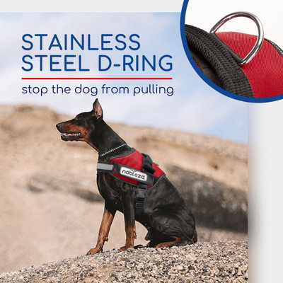 FYY Dog Harness No Pull, Breathable Adjustable Pet Vest, Reflective Oxford Easy Control Dog Harness with Sturdy Handle for Small Medium Large Dogs M-Blue