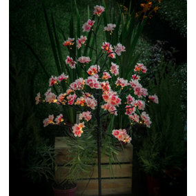 Noma Solar 4ft Pink & White Cherry Blossom LED Flower Tree Garden Light 3618009