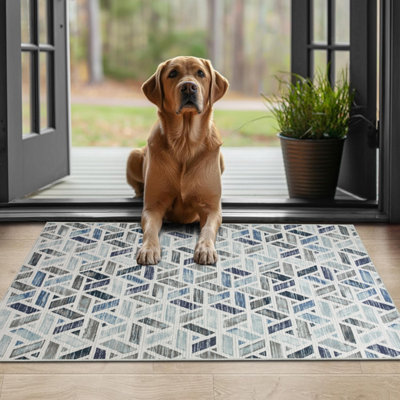 Non Slip Printed Rug Indoor/Outdoor Floor Mat Zara Pattern 40X60 cm ...