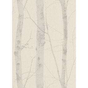 non-woven wallpaper birch forest