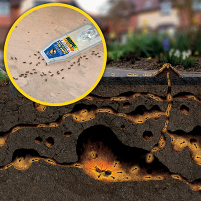 NOPE Ant Killer 3 x Bait Stations Box x 4 Pack. Traps for Indoor ...