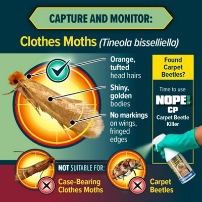 NOPE Clothes Moth Traps (x6) Odourless Non-Toxic Pheromone Sticky Trap ...