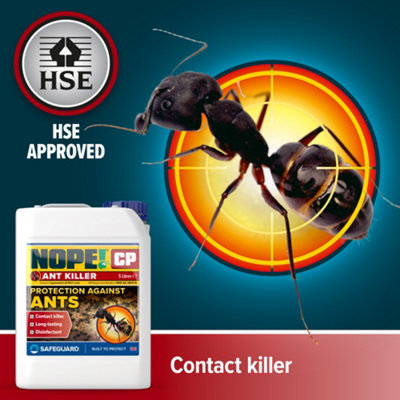 Ant pesticide hotsell