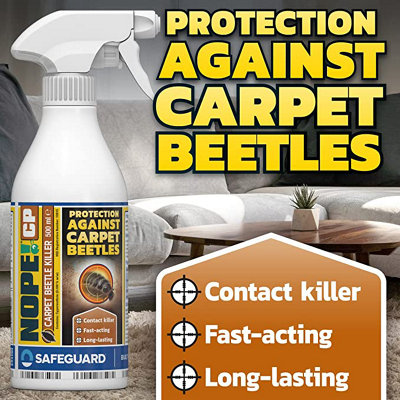 Carpet Beetles Not Just in Carpets - Pest Control Technology