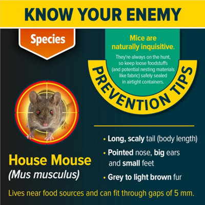 Curated visual reference: Visual Reference: Nope Pre Baited Mouse Bait Kit 5 Boxes 5 Blocks