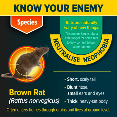 NOPE Pre-Baited Rat Bait Kit (1 Box, 5 Blocks 20g) Ready-to-Use Rodent ...