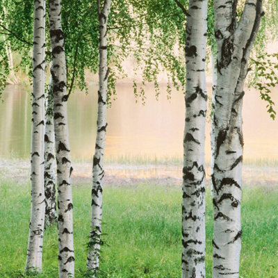 Nordic Forest Mural - 192x260cm - 5424-4