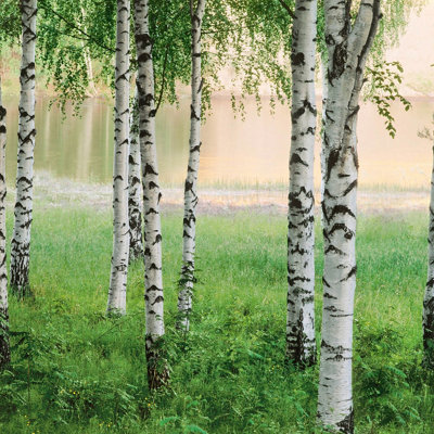 Nordic Forest Mural - 384x260cm - 5424-8