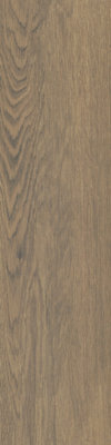 Nordica Light Wood Effect 100mm x 100mm Porcelain Wall & Floor Tile SAMPLE