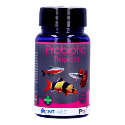 NT LABS Pro-F Probiotic Tropical Granules Fish Food 45g - Food For Dwarf Fish With Built-In Probiotics