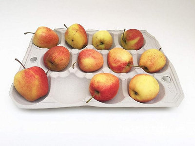 Nutley's Fibre Biodegradable Apple Tray 12-Hole Compostable (10)