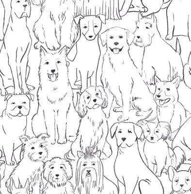 NuWallpaper NUS3675 Paws On Peel & Stick Wallpaper, Black & White