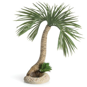 Oase biOrb Palm Tree Seychelles Aquarium Ornament - Large