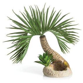 Oase biOrb Palm Tree Seychelles Aquarium Ornament - Small