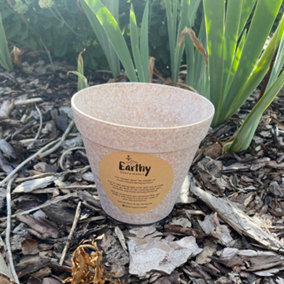 Oatmeal Planter Plant Flower Pot Earthy Sustainable Outdoor Garden Decor 15cm