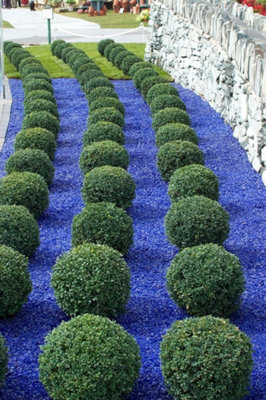Ocean Blue Tumbled Glass Chippings 10-20mm - 10 Large 5kg Bags (50kg) - 3