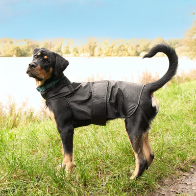 OHS Pet Vest Jacket Dog Water Resistant Coat Winter Autumn, Black - Medium Price Comparisons | Compare The Build
