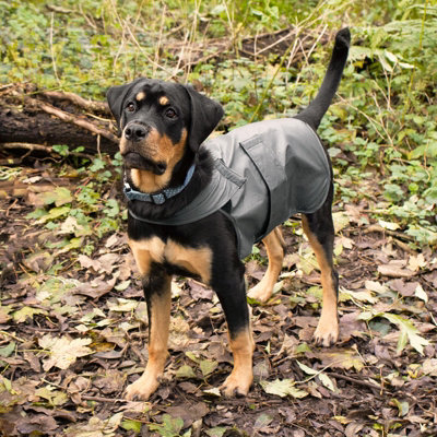 OHS Pet Vest Jacket Dog Water Resistant Coat Winter Autumn, Charcoal - Small Price Comparisons | Compare The Build