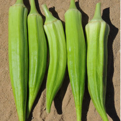 Okra Clemson Vegetable Seeds for Planting UK Grow Your Own. Easy to Grow Indoor, Outdoor Non-GMO 90 Seeds