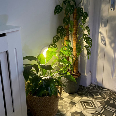 Omni Large Rechargeable LED Motion Sensor Light