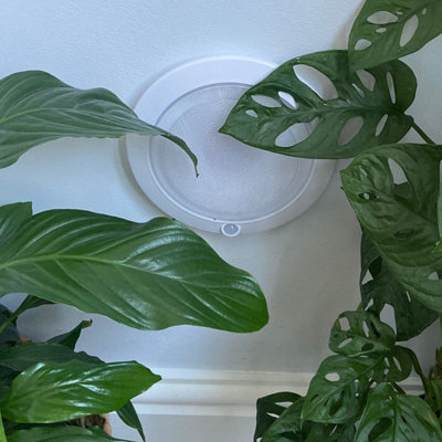 Omni Large Rechargeable LED Motion Sensor Light