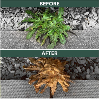 One Chem Enviro Works - Weed Gone 5L Fast Acting Weedkiller With 5L Pressure Sprayer - See results within 24 hours