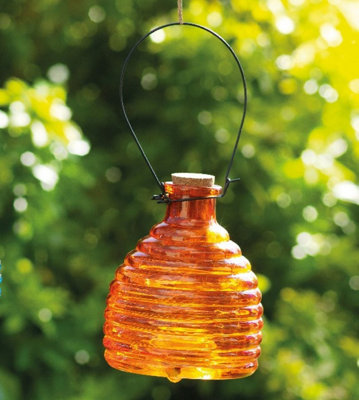 Wasp Catcher Glass