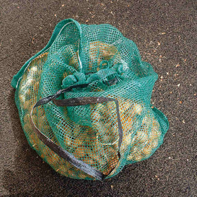 Onion Bags x 10 by Thompson and Morgan (10)