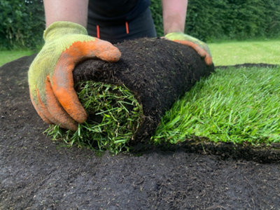 OnlineTurf Rye Gold Lawn Turf 30m² Pack