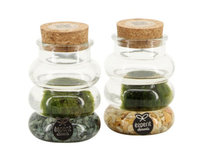 Opm Marimo Arrangement, 7cm Pot Size, 25cm Tall, Marimo Arrangement ...
